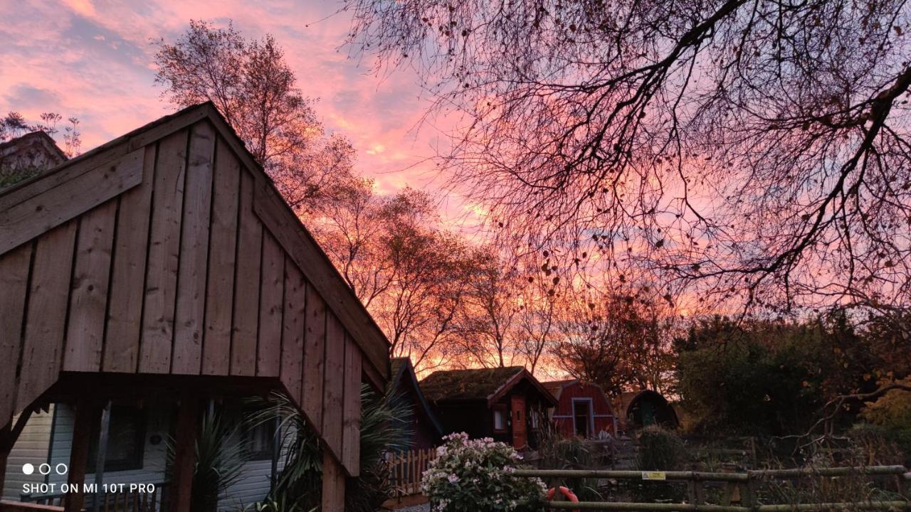 Seaways Glamping, Cedar Driffield